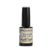 B Colour N°372 Silent Sage ProNails 10ml