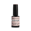 B Colour N°376 Winter Blush ProNails 10ml