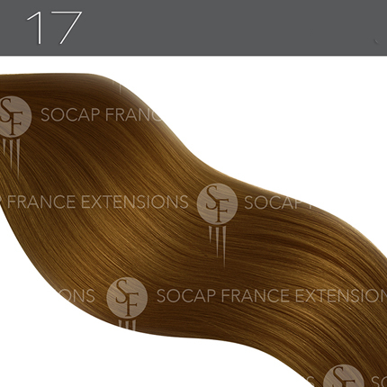 Mèches Cheveux Naturelles Premium N°17SoCap