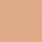 Fond de Teint Stick Sculpt Foundation Beige Doré Peggy Sage 6g