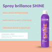 Spray Brillance Generik 300ml