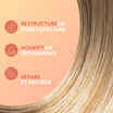Shampoing Cheveux Secs, Abimés, Cassants 300ml