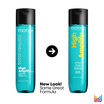 Shampooing High Amplify Total Result 300 ml