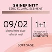 Coloration gloss Shinefinity 09/02 Soft Sage 60ml
