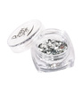 Paillettes pour Ongles Silver Mix Peggy Sage