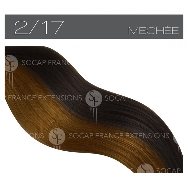 Mèches Cheveux Naturelles Premium N°2/17SoCap