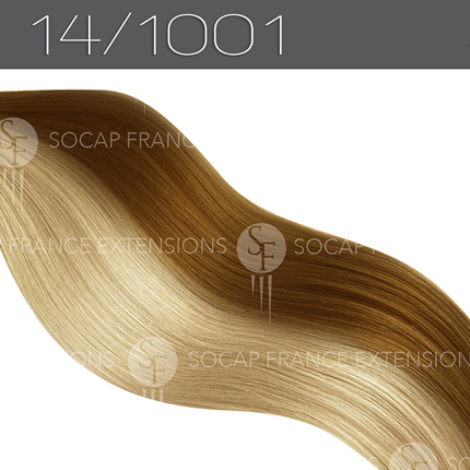 Mèches Cheveux Naturelles Premium14/1001SoCap