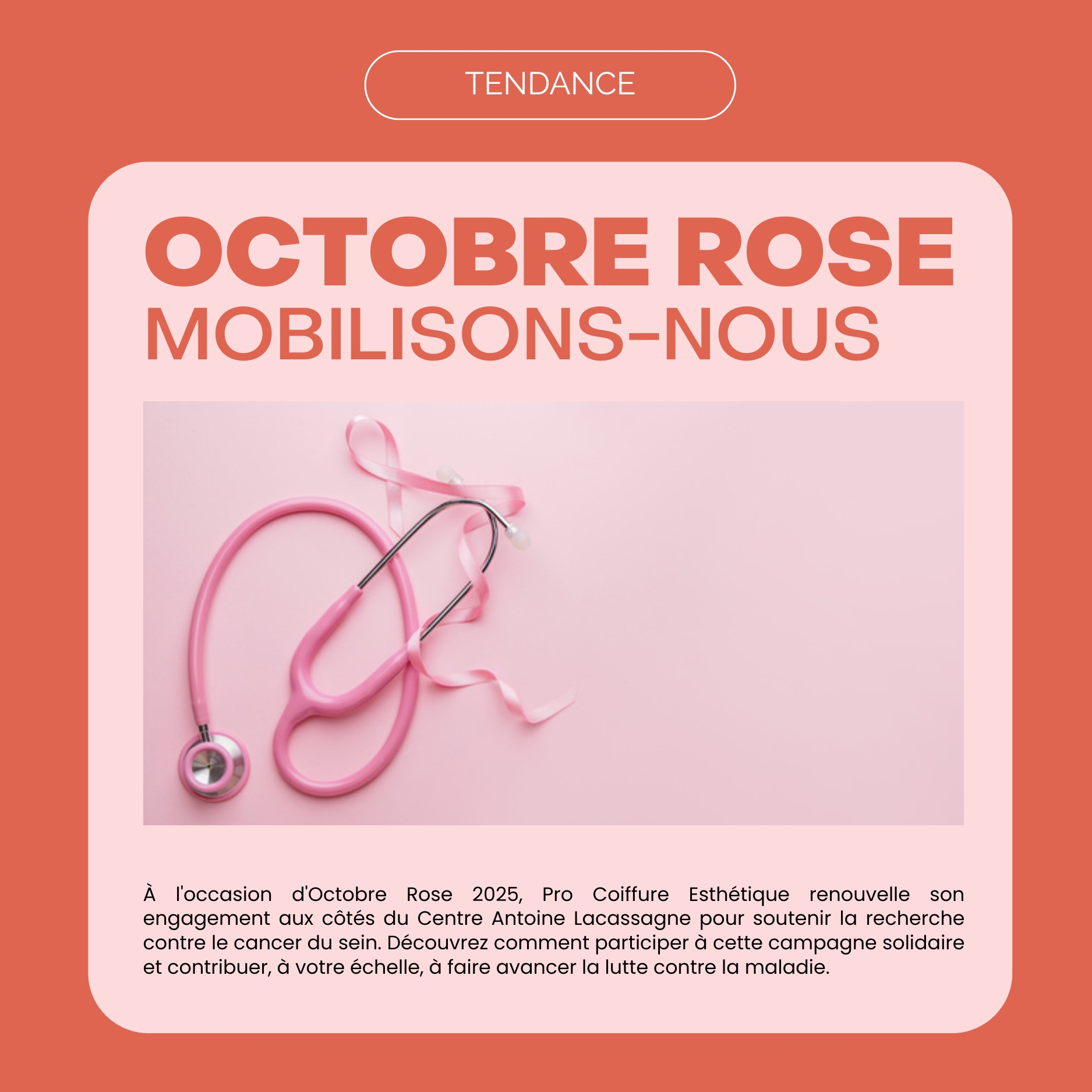 🎀Octobre Rose 2025, rejoignez le mouvement !🎀