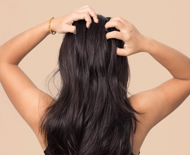 Diagnostic capillaire - Pro Coiffure Esthétique