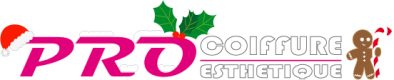 https://www.procoiffure.com