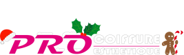 https://www.procoiffure.com