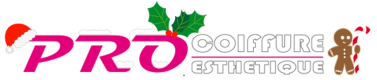 https://www.procoiffure.com