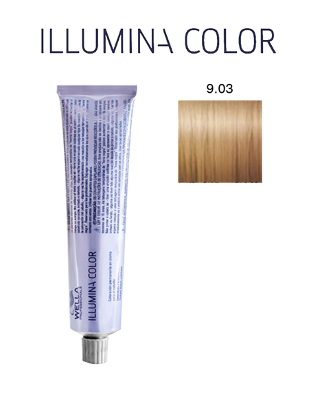 BALAI SORCIER - COIFFEUR COULEUR BLEU (SANS MANCHE) - Prod`hyge